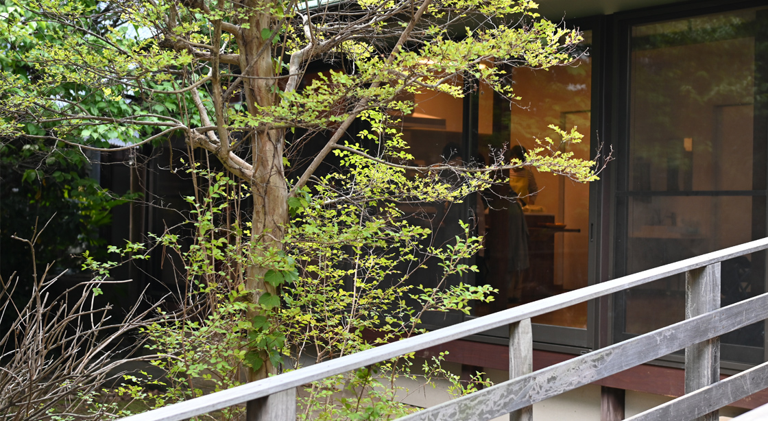Venue image for Geo Cooking Class TERRE